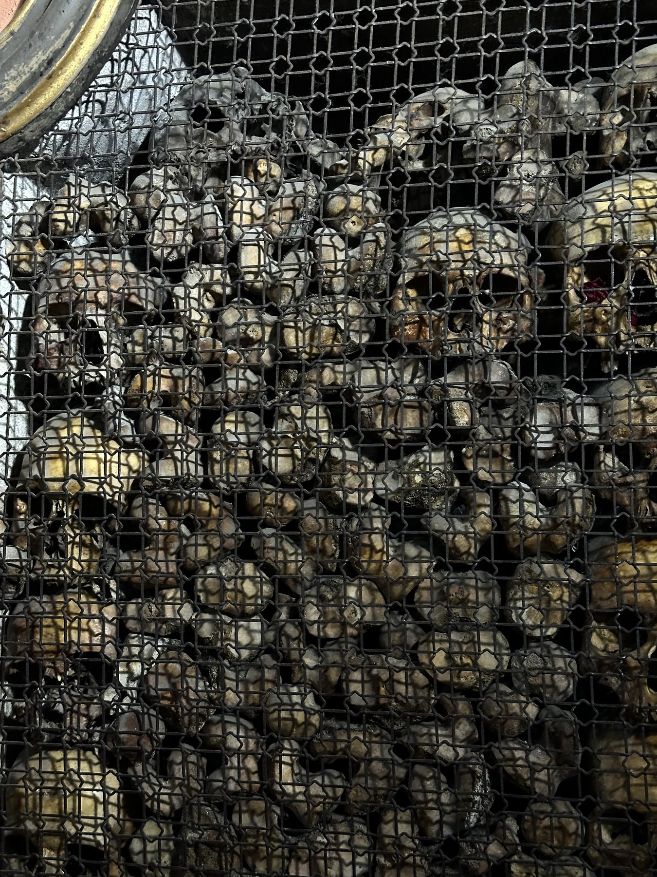 Parete di teschi umani all’interno di San Bernardino alle Ossa