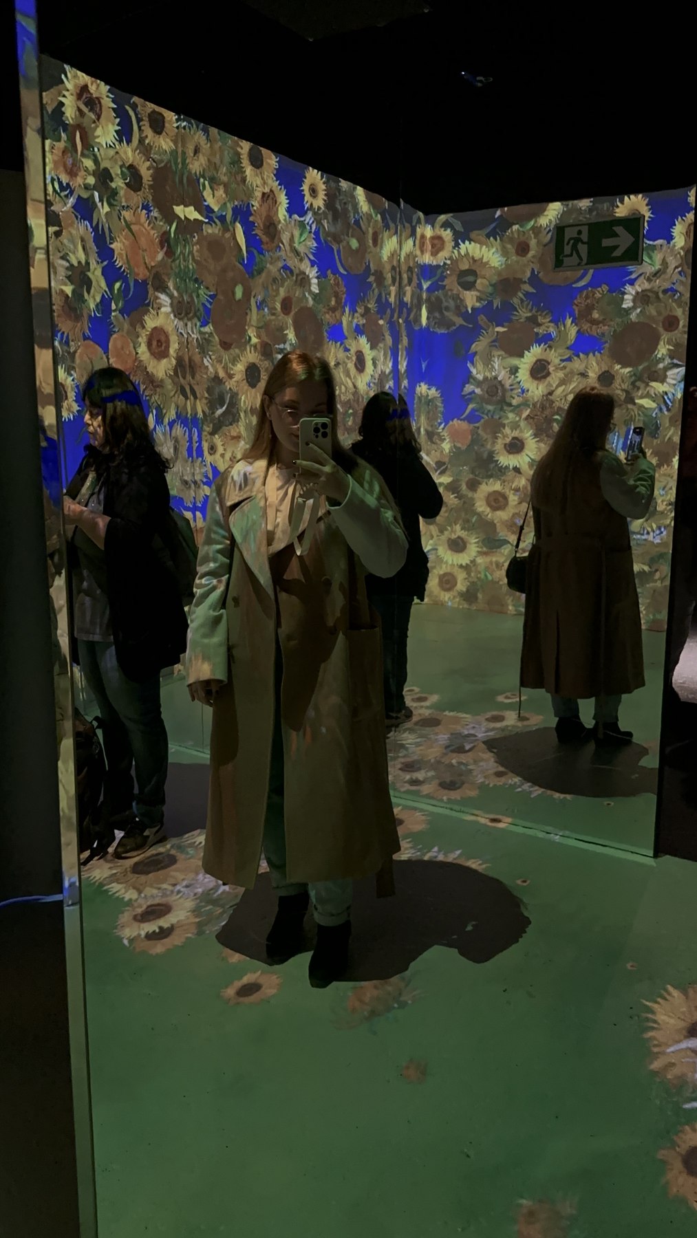 Visitatori circondati dalle proiezioni delle opere di Van Gogh