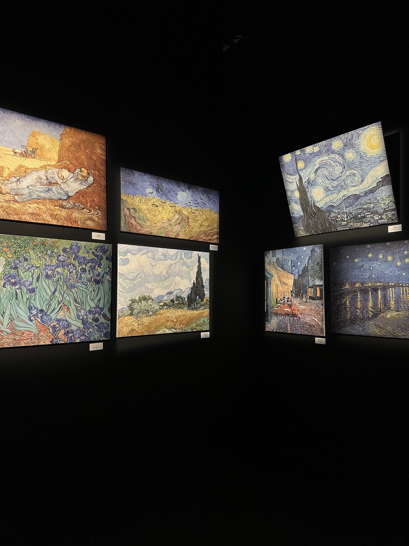 Grandi proiezioni all’interno di una mostra immersiva su Van Gogh